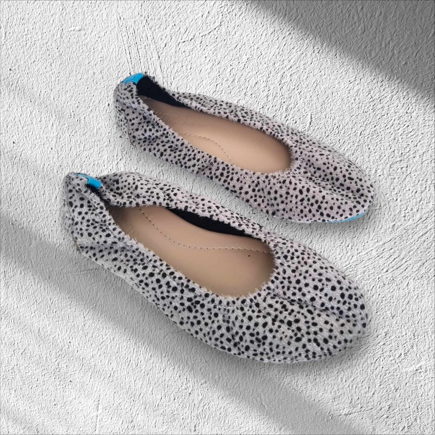 Leopard Gray Apollo