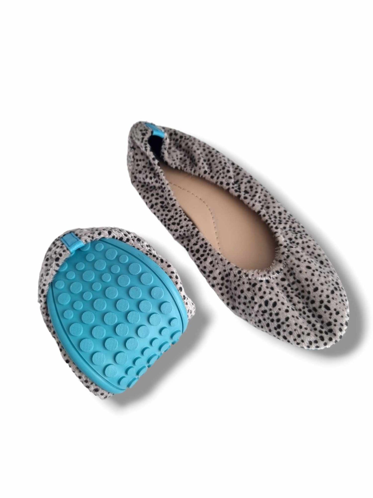 Leopard Gray Apollo