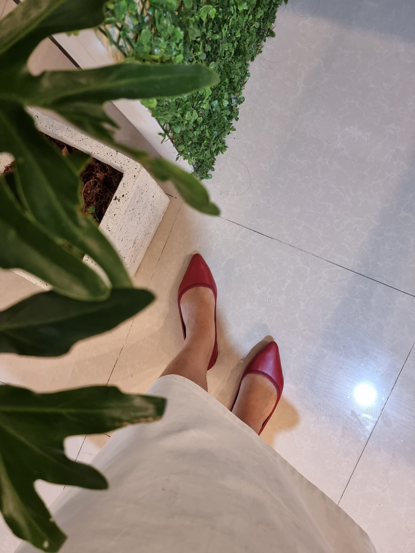 Cassey Pointed redwine