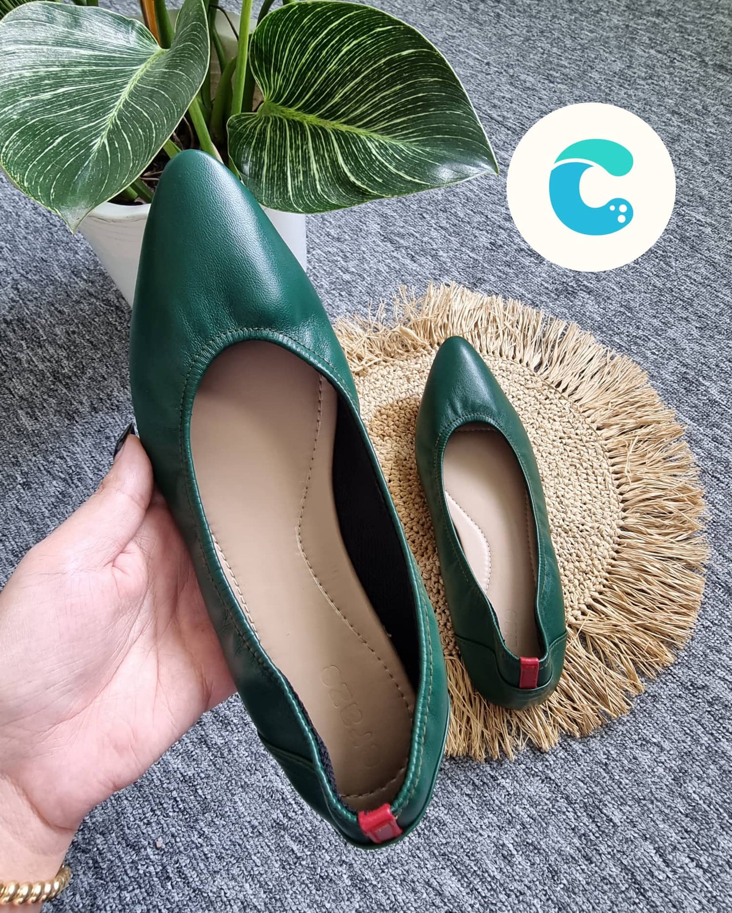 Cassey pointed jade green