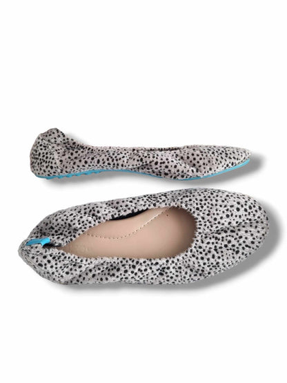 Leopard Gray Apollo