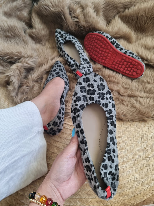 Leopard Collection